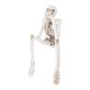 Halloween Decorations, Creative Skull Skeletons, Resin Crafts, Halloween Party Ornaments, Bar Decoration Ornaments