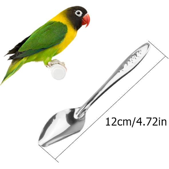 YAODHAOD 4.7" Bird Parrot Stainless Steel Metal Feeding Spoon Parrot Feeding Scoops Hand Feeding Spoons for Parrot (3PCS)