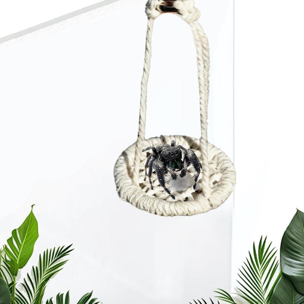 Jumping Spider Bridge 2 Pieces Cotton Rope Natural Hammocks Jumping Spider Accessories For Walking Camping Travel Daily Airplane