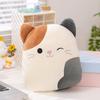 Cute Calico Cat Plush Pillow Toys Stuffed Soft Animal Cat Pillow Nap Cushion Creative Birthday Gift for Kids Girlfriend