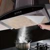 Selfadhesive Rangefilters Require Cleaning Exhaust Filterssuitable  Durable Streamlined Design Them Idealstovetop Replacement