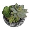 Realistic Faux Succulent Plant with Stone Pot Ideal Desk Shelf Decoration Unique Housewarming Gift