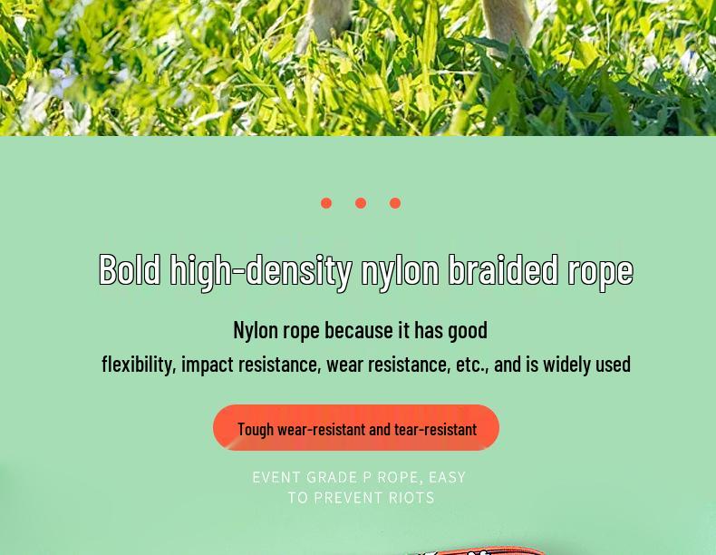 Polyester Printed Dog Leash with Logo - Explosion-Proof, Large Dog Traction Rope