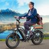 Ebike LD20 Bicicletta elettrica per donne 750W 48V 20AH Batteria al litio Alimentata Uomini / Donne Adulti Città Città Bicicletta elettrica