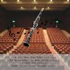 Clarinet 17 ABS Resin Wind Practice Instrument Spare Set, Keys, B, Body, Beginner-Friendly, Instrument, (Includes Reeds)