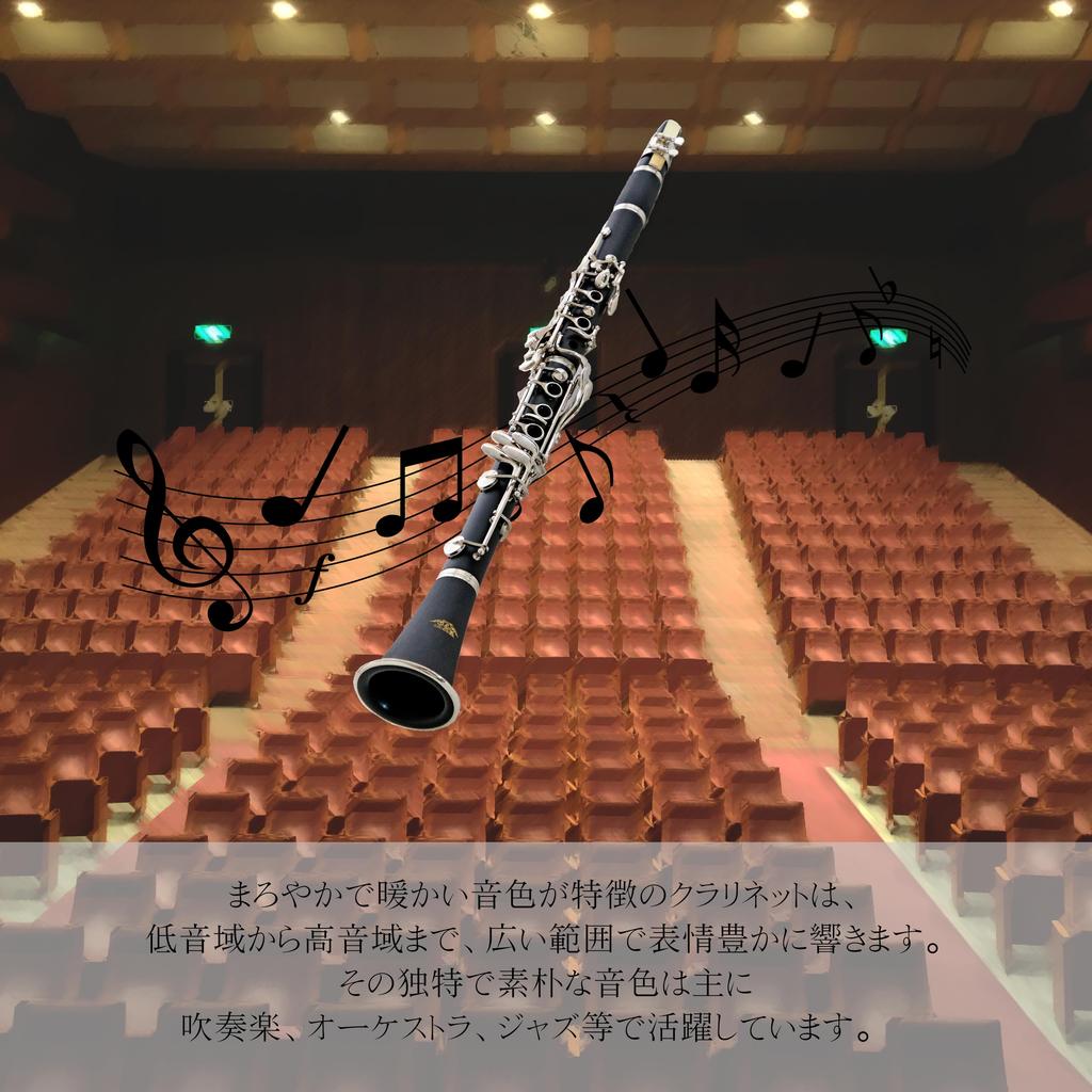 Clarinet 17 ABS Resin Wind Practice Instrument Spare Set, Keys, B, Body, Beginner-Friendly, Instrument, (Includes Reeds)