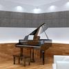 Walspax Sound Absorbing Sound Absorbing Thickness 12 High Density Felt Soundproofing Soundproofing Interior For Noise Musical Sound Absorbing Piano