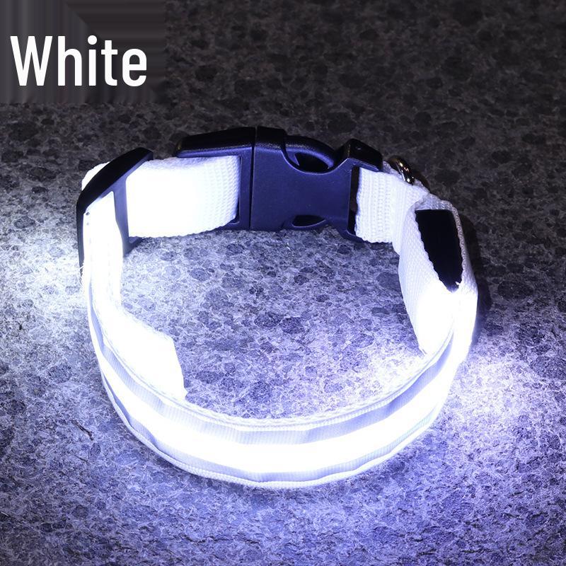Rechargeable Luminous Dog Collar with Reflective Safety for Nighttime Walks