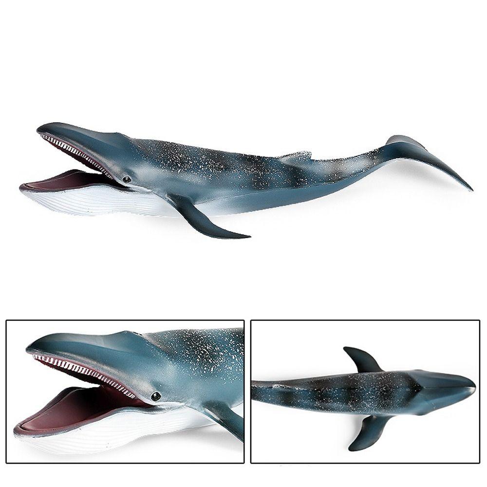 Wild Big Shark Fish Model Large Whale Desktop Ornament Ocean Animal Statue  Educational Kids Toy