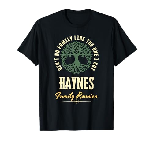 Family Reunion 2025 Matching Design - Haynes T-Shirt