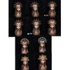 Acessórios para cabelo – Diademas para mulheres