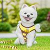 Bee Shaped Small Dog Harness And Leash Set Cartoon Puppy Walking Vest Harness with Wing for Small Dogs Cats