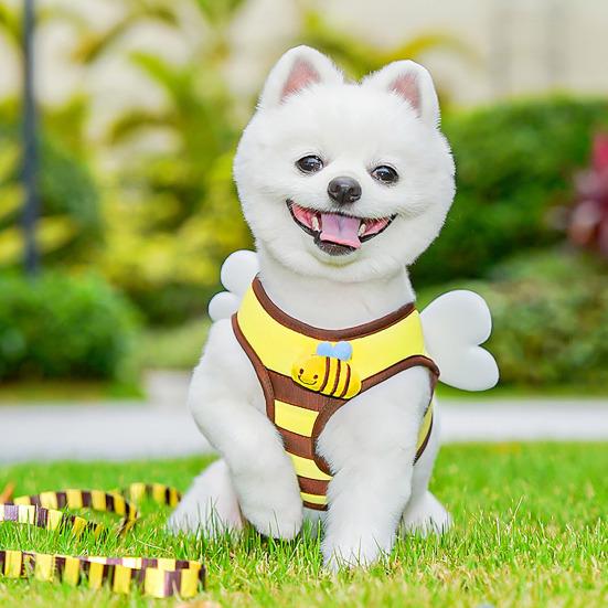 Bee Shaped Small Dog Harness And Leash Set Cartoon Puppy Walking Vest Harness with Wing for Small Dogs Cats