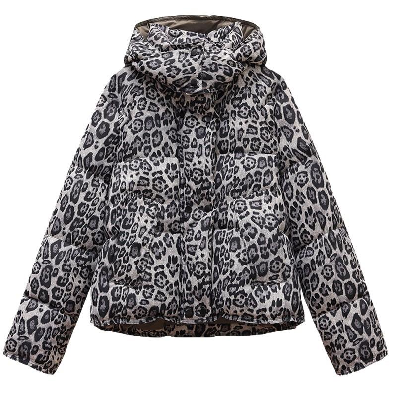 Short Leopard Print Cotton Clothes Women's Hooded Simple and Fashionable Design Sense Loose Personalized Cotton Coat