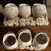 Skull Shaped Flower Pot Halloween Skull Pen Pencil Holder Skeleton Key Holder Makeup Brush Holder Home Office Desk Supplies