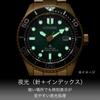 Citizen Promaster Light-Powered Eco-Drive Diver's Watch, 200m, Green and Gold, BN0262-59W, Men's