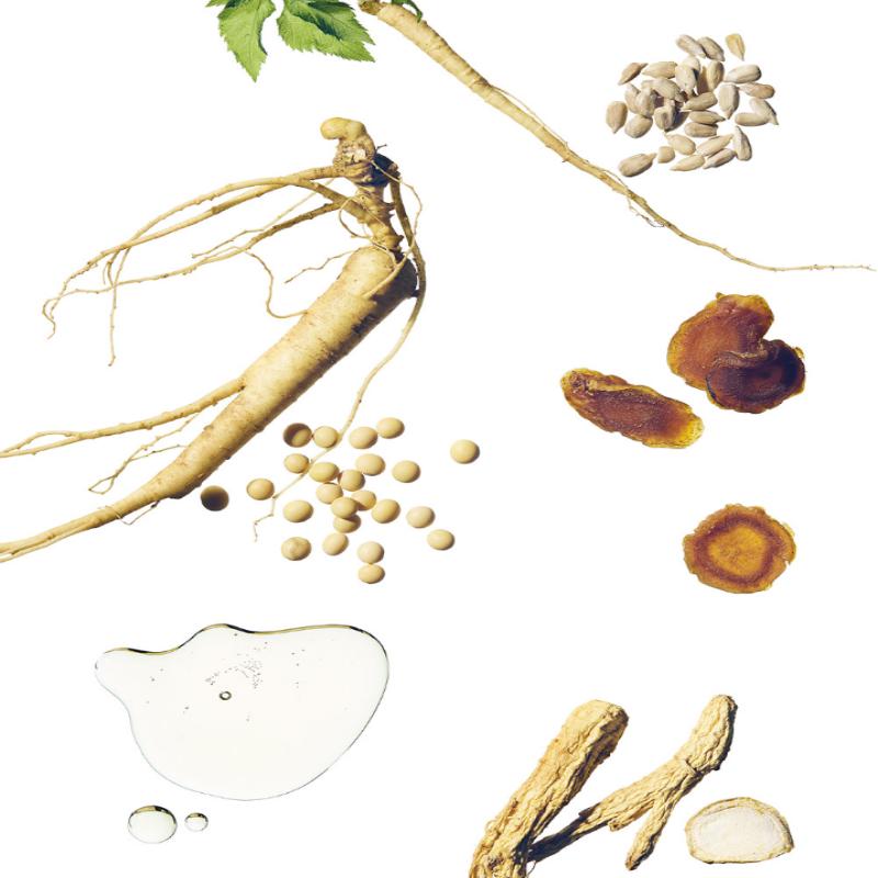 Beauty of Joseon Revive Serum : Ginseng + Snail Mucin 30ml