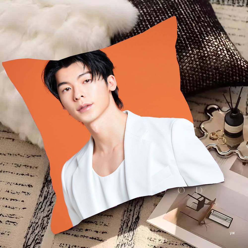 Actor And Singer Xu Guanghan Pillow Case Fashion Square Pillowcase Bedroom Sofa Room Ins Decoration Leisure