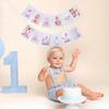 Newborn 1 To 12 Months Milestone Decorations - Simple Blue Monthly Banner, First Year Photos Hanging Banner, Boys One Birthday Decor (BLUE)