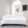 Mercury Home Textiles DH Ylang Ylang Negative Ion Antibacterial Quilt