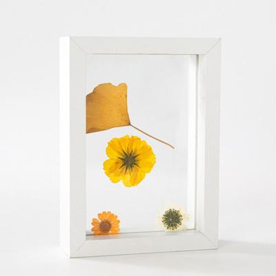 Wooden Glass Leaf Specimen Frame Transparent Double-sided Photo Display Frame Thicked Drawing Artwork Picture Frame