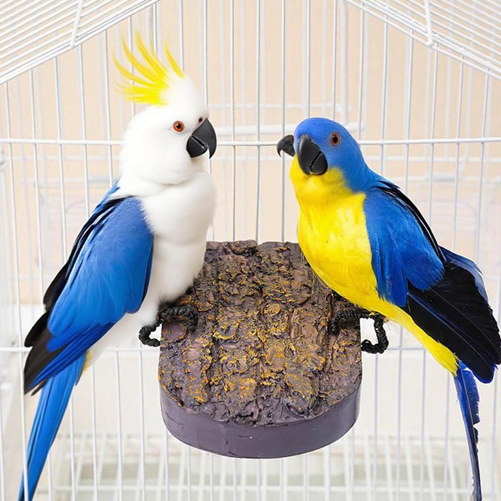 Bird Perch Heated Perch Cockatiel Cage Accessories Warmer Stand Habitat Pet Supplies for Parrot Conure Macaw Parakeet Reptile