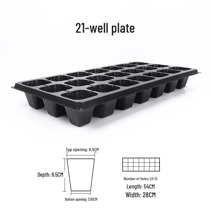 MOJY Thickened Seedling Tray for Peanut Sprouting and Succulents