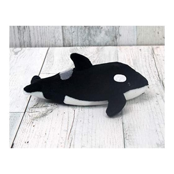 Takeoff Pokepuni Killer Whale