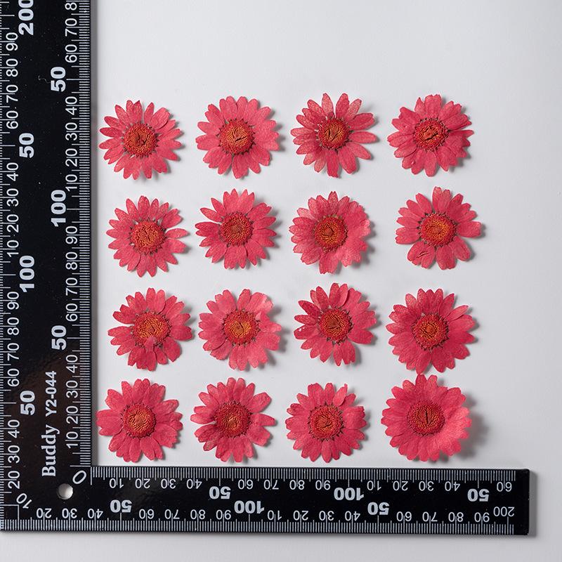 12 PCS/Set Pressed Dried Flowers for Scrapbooks Making Natural Flower For Epoxy Resin Pendant Necklace Jewelry Making Craft