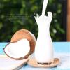 Organic Freeze Dried Coconut Water Powder 340g