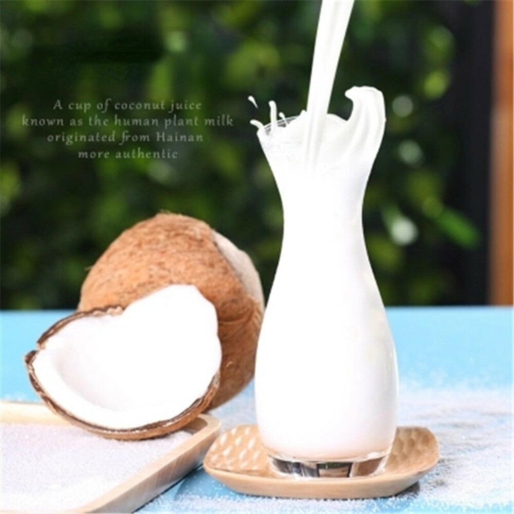 Organic Freeze Dried Coconut Water Powder 340g