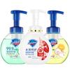 Safeguard Antibacterial Foaming Hand Soap