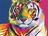 DIY 5D Diamond Painting Animal Lion Cat Cross Stitch Kit Full Drill Embroidery Mosaic Art Picture of Rhinestones Home Decor Gift