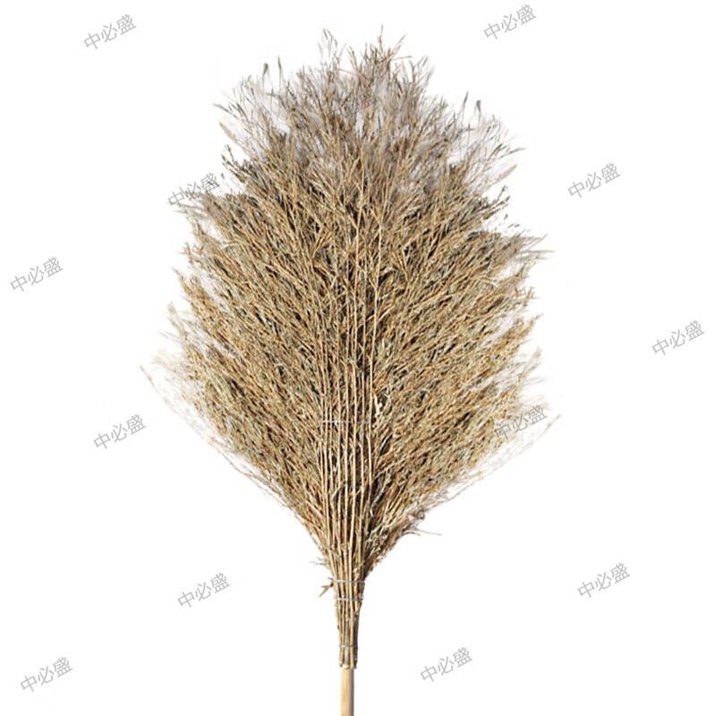 Heavy-Duty Bamboo Broom