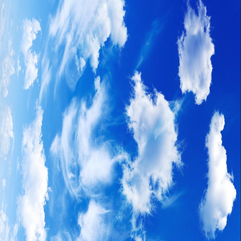 Customized Murals Large Wall Paintings Blue Sky and White Clouds Ceiling Wallpaper Luxurious Home Living Room and Bedroom Ceiling Mural Decoration