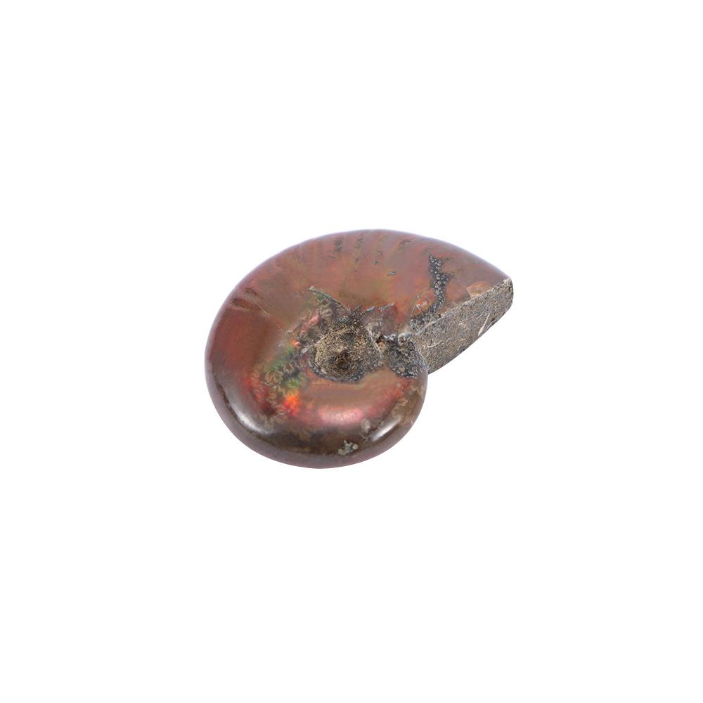 Luck Mascot Madagascar Stone Collectibles Iridescent Specimen Natural Ammonite