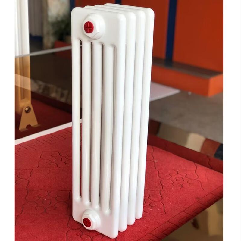 Dongfeier GZ506 Steel Five-Column Hydronic Radiator