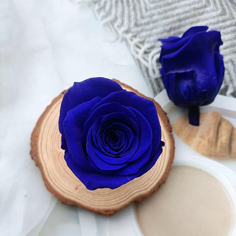 Blue Series Dried Flower DIY Kit: Hydrangea, Thousand-Layer Gold, Eucalyptus Leaf Souvenir Decoration