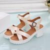 Special for thick-soled thick-heeled sandals for women, simple buckle, comfortable wedge-heeled large-size sandals 33-45