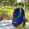 Large Capacity School Backpack for Middle & High School Girls INS - Style Japanese - Inspired Double - Shoulder Bag Trendy Minim