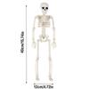 Szkielety Dekoracje Halloweenowe Model Ciała Ludzkiego Anatomia Szkieletu Realistyczny Model Szkieletu do Domów Strachów Cmentarzy