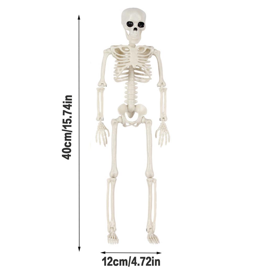 Szkielety Dekoracje Halloweenowe Model Ciała Ludzkiego Anatomia Szkieletu Realistyczny Model Szkieletu do Domów Strachów Cmentarzy