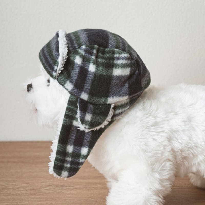 [Pet] Checkered Roasted Chestnut Hat Green
