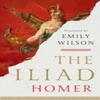 The Iliad by Homer Paperback Book 9781324076148