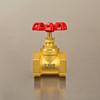 Brass Manual Lift Stop Valve with Internal Thread