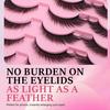 New 3D Cat Eye False Eyelashes - Super Natural Look