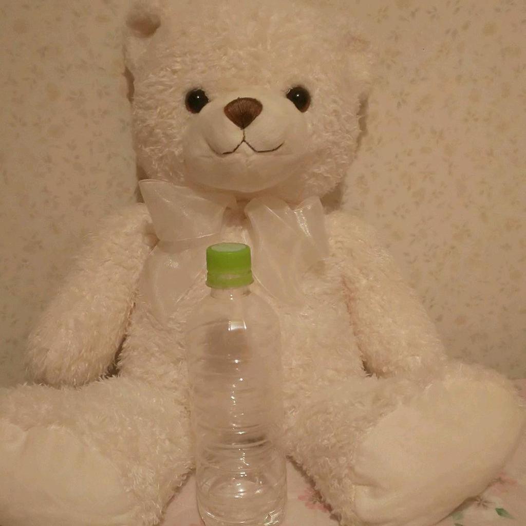 [USED] TEDDY BEAR SHOP Nagoya Akashimaya Teddy Bear