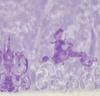Disney Rapunzel & Pascal Kids' Cape with Hood and Tiara, Embroidered, Purple