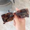 Ins Popular Fashion Small Rectangle Sunglasses Women Retro Leopard Shades UV400 Men Trending Square Sun Glasses