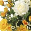 Artificial Flowers Flower Photocatalyst Fake Interior Plants Rose "Art Arrangement" (Air Purifying) (Ribbon Arrangement EX/Yellow)